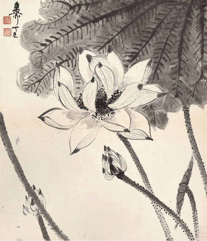 谢稚柳 落墨花鸟 册页 私人藏